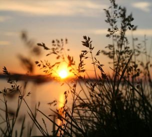 Peaceful view of grass silhouette with a vibrant sunset over water.